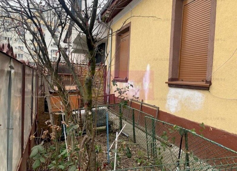 Casa Floreasca- Dinamo.