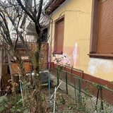 Casa Floreasca- Dinamo